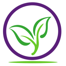 Balance Integrative Health + IV Therapy